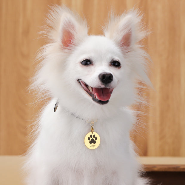 Personalized Pet Tag  Custom ID Logo Dog Collar Tag Leather Collar